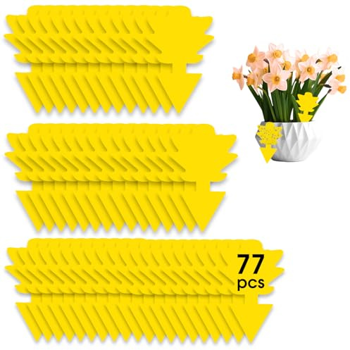 77 stycken gula klistermärken, sorgmygg-säker, flugfälla, insektsfria gula tavlor för bekämpa små flugor, vattentäta, giftfria, självhäftande fällor, skaggeribekämpning, blomjord
