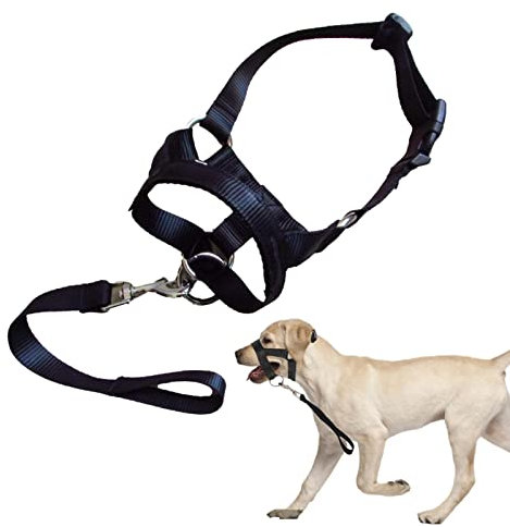 Kaxenig Maulkörbe für mittelgroße Hunde - Trainingsgeschirr Hundehalfter Maulkorb mit verstellbaren Trägern,Haustierhunde-Mundschutz für kleine, mittelgroße, zusätzliche Hunde, verhindert Bellen