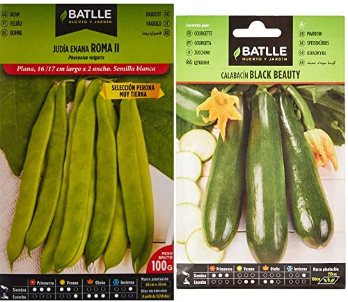 Judia ROMA Sel. PERONA & Calabacin BLACK BEAUTY