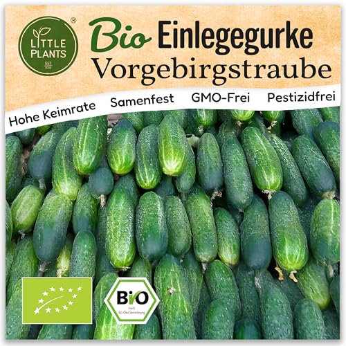 Little Plants BIO Einlegegurke Samen 10 Gurkensamen Vorgebirgstraube Gemüsesamen Samenfest für Gemüsegarten Gemüse Samen für Küche, Balkon, Hochbeet und Garten