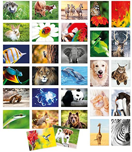 Einladungskarten Manufaktur Hamburg Modernes Design Postkarten Set 30 Karten mit Umschlag, Tiere Motive, Tierpostkarten Sammler Collage Karten