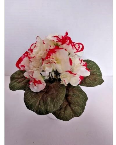 1 Pcs Artificial 6 Miniature African Violet - Burgundy Tips