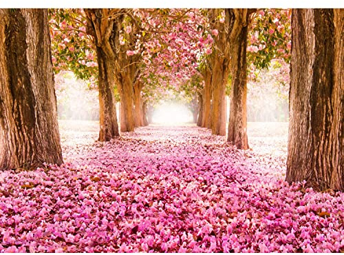 Runa Art fototapeter 396 x 280 cm skogsblommor Allee – fleece väggdekoration vardagsrum sovrum – tysk fabrik – rosa 9044012b