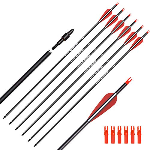ELONG OUTDOOR Carbon Arrow Hunting Target Practice Arrows 30 Inch with Removable Tips for Compound & Recurve Bow Spine 500 (Pack of 6)