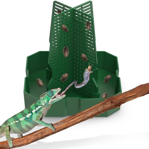Fischuel Chameleon Feeding Bowl for Reptile Terrarium, Climbable Design for Reptile to Hunt, Suitable for Feeding Lizards, Bearded Dragons, Geckos, Guardians, Frogs, Green, Large