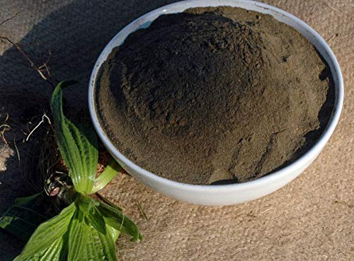 Krauterino24 - Spitzwegerichblätter gemahlen Spitzwegerichtee, Menge:100g