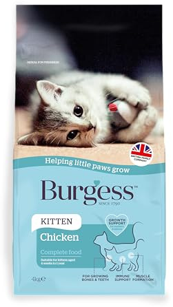 Burgess Cat, Dry Kitten Food with Chicken, 4 kg