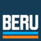 BERU 300891598 Set cavi ad alta tensione, candele