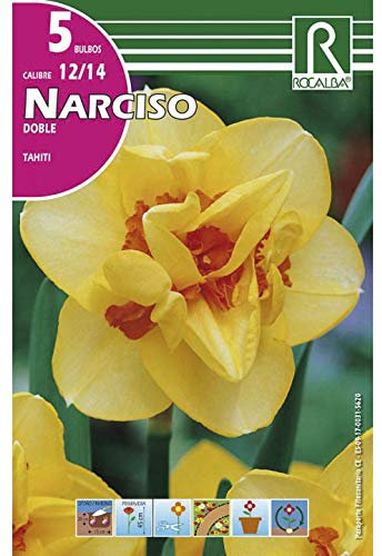 BULBO DE OTOÑO NARCISO DOBLE TAHITI AMARILLO - 5 UD