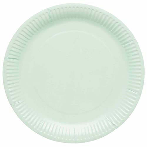 Amscan 9915400-207-66 - Pastel Mint Green Eco-Friendly Recyclable Paper Party Plates - 8 Pack