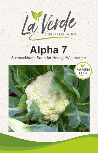La Verde MEIN GARTEN UND ICH. Blumenkohl Alpha 7 Kohlsamen