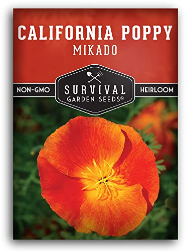 Survival Garden Seeds 1 Pack Mikado California Poppy for Planting - Seed Packet with Instructions to Grow Red Poppies in Your Home Vegetable Garden - Non-GMO Heirloom Variety