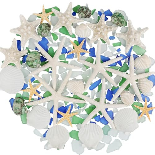 Fangoo Natural Starfish Beach Seashells Conch Mixed with 200 g Sea Glass Pieces for Crafts Beach Themed Party DIY Crafts Fishtank Vase Fillers Candle Making Home Coastal Wedding Decorations