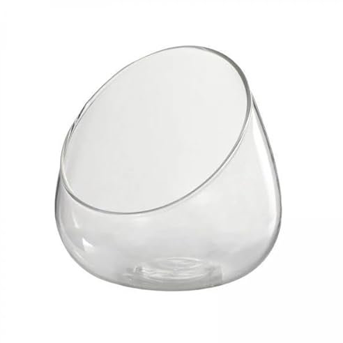 MagiDeal 2x Vaso in Vetro Trasparente con Scodella Inclinata, Vaso per Piante, Ciotola per Terrario, Mini Barattolo per Caramelle per La Decorazione Del Tavolo
