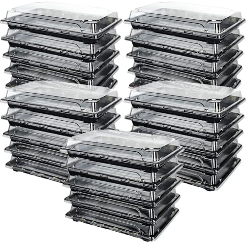 Cobenga 25 bandejas para sándwiches con tapas, bandejas de plástico pequeñas reutilizables para catering, bufés de catering, bandejas duraderas para sándwiches para preparación de comidas, pasteles