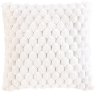Douceur d'Intérieur, Coussin Déhoussable (45 x 45 cm) Frosty Naturel, Imitation Fourrure et Velours