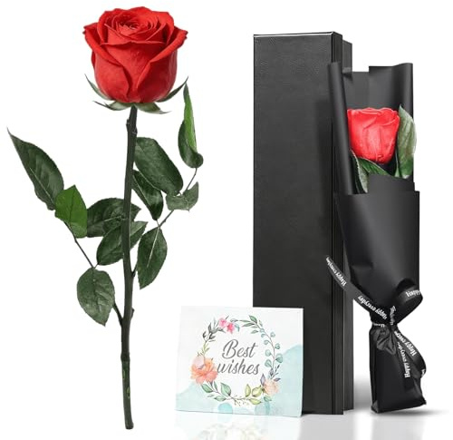 VOIDHUES Ewige Rose Rot in Geschenkbox Echte konservierte Infinity Rose mit Stiel Rosen, langlebiges Blumen-Geschenk für Frauen, Mama Geeignet für Geburtstage, Jubiläen und Valentinstag (Red)