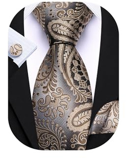 Barry.Wang Champagne Grey Tie for Men Paisley Silk Necktie Pocket Square Cufflinks Set Formal Wedding Party Business
