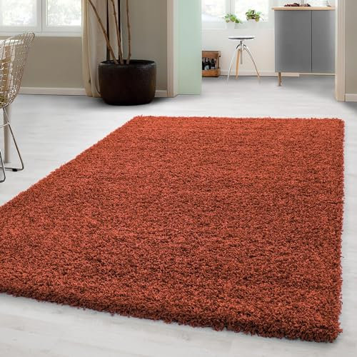 Carpetsale24 Shaggy Hochflor Teppich Läufer Flur 100 x 200 cm Terrakotta - Weicher, Flauschiger Teppich Wohnzimmer – Moderner, Rutschfester Badezimmerteppich & Küchenläufer, Bettvorleger Schlafzimmer