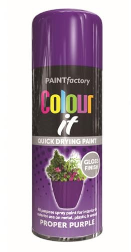 RAPIDE PF COLOUR IT Spray Paint Gloss Proper Purple 250ml - Quick Drying Gloss Finish for Metal, Plastic, and Wood - Interior & Exterior Use