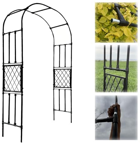 Arche de jardin - 2,5 x 2,7 m - Support en métal pour plantes grimpantes - Arcs de roses solides - Pour décoration de mariage et de fête - Noir - Décoration de jardin