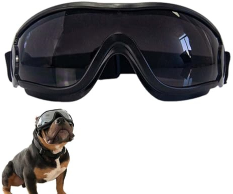1 Pieza de Gafas para Perros, Gafas de Sol para Perros, Gafas de Motocicleta, Correa elástica Ajustable, protección Ocular, previene los Rayos UV, adecuadas para Perros pequeños y medianos