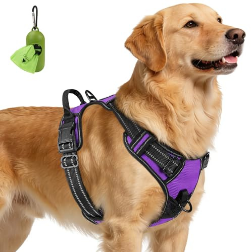 Joytale Anti-Traction Harnais Très Grand Chien, Violet, XL