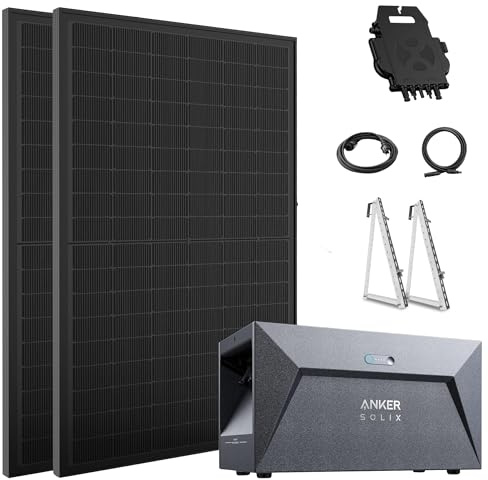 ALLDREI® Speicher mit Balkonkraftwerk 800w komplett steckdose, 2x 450W Bifazialer Solarpanel & 1,6kWh Speicher E1600, Wechselrichter 600/800W mit APP&WIFI, 0% MwSt.