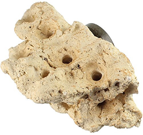 Tunze Coral Rack Nano I Keramikstein für die Platzierung von Korallen I Aquarium-Deko mit starker Magnethalterung I wachsender Stein für Korallenaufzucht in Süßwasser & Meerwasser