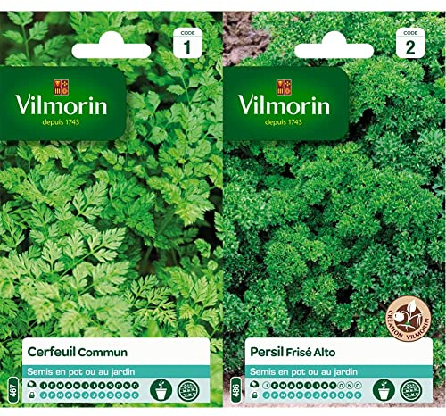 Vilmorin 3235044 Cerfeuil commun, Vert, 90 x 2 x 140 cm & 3182670127915 3801542 Persil Frise Alto Creation, Vert, 90 x 2 x 140 cm