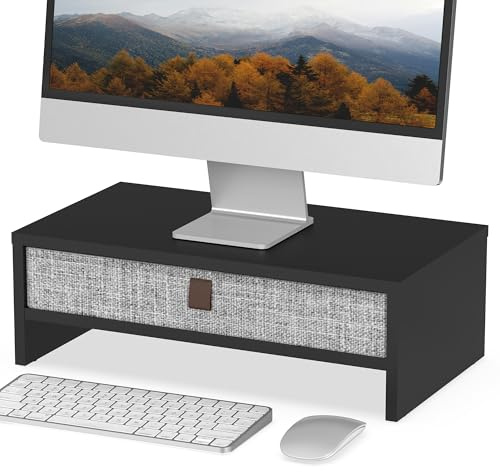 Fenge Supporto per Monitor con Cassetto, 42.5cm Rialzo Monitor da Scrivania, Organizzatore desktop per PC / Laptop / Stampante, 42,5 × 23,5 × 14,2 cm, Capacità di Carico 20KG (Nero)