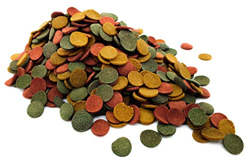 Heron's Pet World HERONS - Algae Wafer Mix - 16 mm Sinking Wafers with Spirulina - For All Bottom Feeding Fish - With Vitamins and Minerals - Enhance Colour and Improves Digestion - 100 Grams