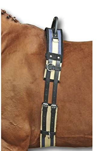 HKM Pferde Longiergurt mit Haltegriff – Gurt zum Longieren aus besonders strapazierfähigem Canvas-Material und Strupfen aus Leder | Ausführung: Shetty (Dunkelblau-Beige)