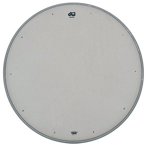 Drum Workshop Snaredrum Fell weiß aufgeraut 13 DRDHCW13