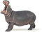 Papo -Handbemalt - Figuren -Wildtiere Der Welt-Nilpferd-50051-Sammelbar-Für Kinder - Geeignet für Jungen und Mädchen - Ab 3 Jahren