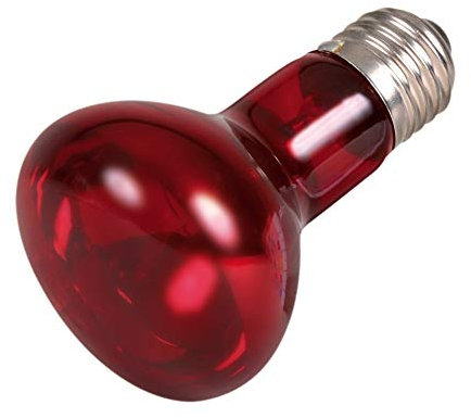 Trixie Infrared Heat Spot Lamp, 50 Watt, 63 x 100 mm