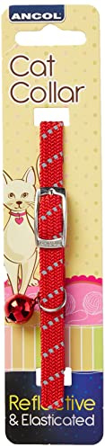 Collier pour Chat élastique et réfléchissant