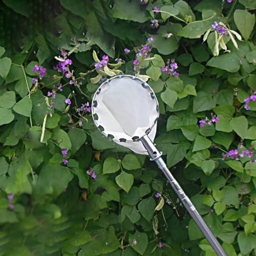 raccogli asparagi pinza frutta Raccoglitore Di Frutta Regolabile Palo Telescopico Con Borsa Per La Conservazione Del Cesto, 2 3 4 5 6 8 10 M Raccoglitore Di Frutta/ Strumento Per La Raccolta Delle Mel