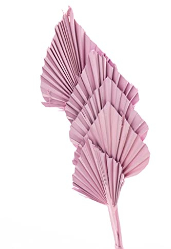 Decorative Dried Palm Spears l Dried palm leaves l natural palm fan (different tinted colors available) l Dried flowers arrangement for Home Decor (15-25in tall, 5 branches per bunch) (Pink)