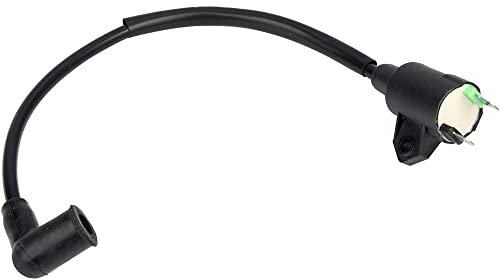 Bobina di accensione Riloer per motore generatore di gas Yam-aha ET950 ET650