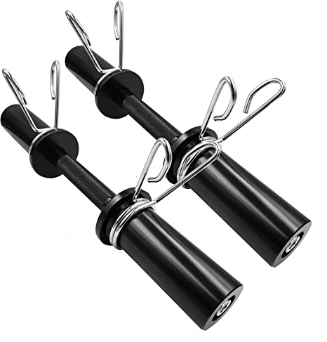 16 Olympic Dumbbell Handles Black, Loadable Dumbbells Bar Sets (150LBS Weight Capacity), Compatible with 2’’ Standard Plates, 2 Pair of Spring Collars Included