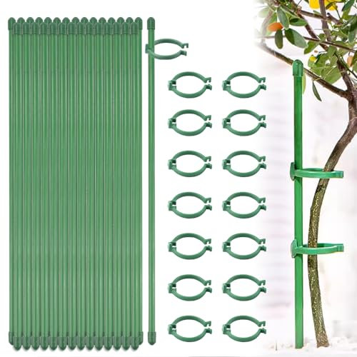 NAROSEBE 20 Pezzi Bastoncini di Supporto per Piante 30cm con 40 Anelli di Fissaggio Bastoncini per Orchidee Pali di Supporto per Piante Supporto per Piante per Sostenere Piante Fiori e Piantine