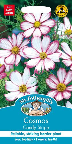 Mr Fothergill’s Cosmos Flower Seeds, Candy Stripe