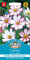 Mr Fothergill?s Seeds Ltd 15246 Mr Fothergill's Seeds-Cosmos Candy Stripe, Pink