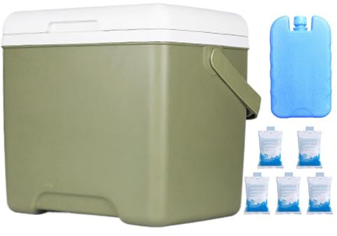 Tragbarer Kühler, Camping-Kühlschrank, 13,8 l Fassungsvermögen, Wärmedämmung, Frischaufbewahrung, eingebauter Griff mit Design, Auto-Kühlschrank zum Wandern, Getränke, Autoreisen, 28 x 17,8 cm