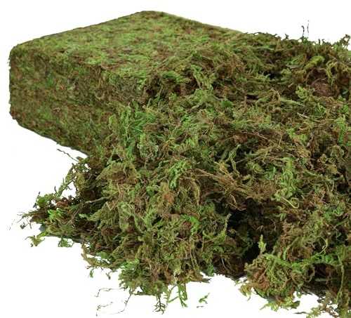 USMOLA Artificial Moss for Indoor Plants, 16OZ Fake Moss for Crafts, Decorative Centerpieces, Fairy Garden, Wedding Party Decor, Faux Potted Plants, 455gr (Natural Green)