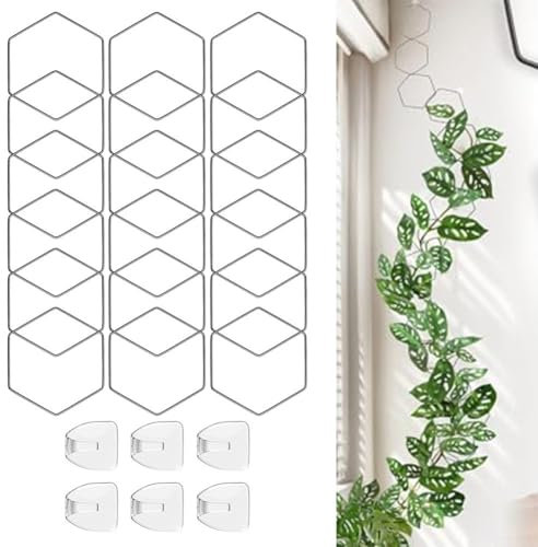 Treillis à chaîne pour plantes grimpantes, étanche et résistant au soleil avec 18 anneaux hexagonaux pour philodendron, castanopsis, lierre et légumes