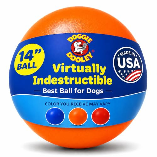 Virtually Indestructible Best Ball for Dogs, 14-inch (colors may vary
