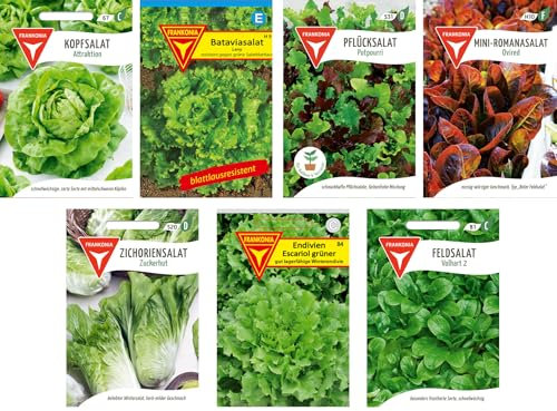 Frankonia-Samen / Samen-Sortiment / 7 Salatsorten / Kopfsalat / Bataviasalat / Pflücksalat / Romansalat /Zichoriensalat / Endivien / Feldsalat