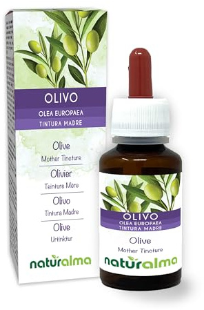 Olivo o Ulivo (Olea europaea) foglie Tintura Madre analcoolica Naturalma - Estratto liquido gocce 60 ml - Integratore alimentare - Vegano